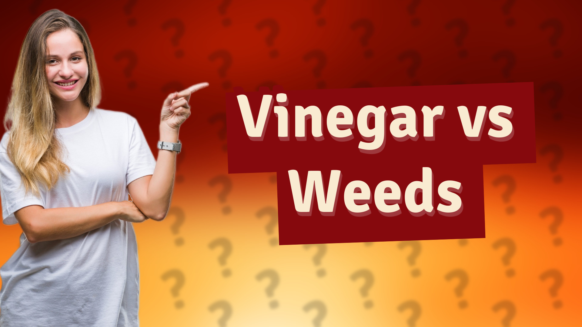 Vinegar vs Weeds