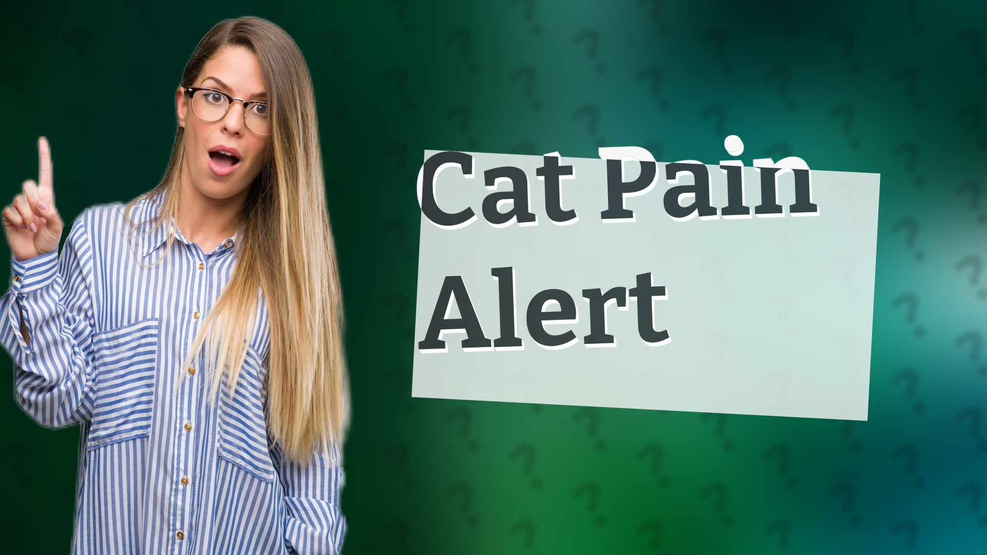 Cat Pain Alert