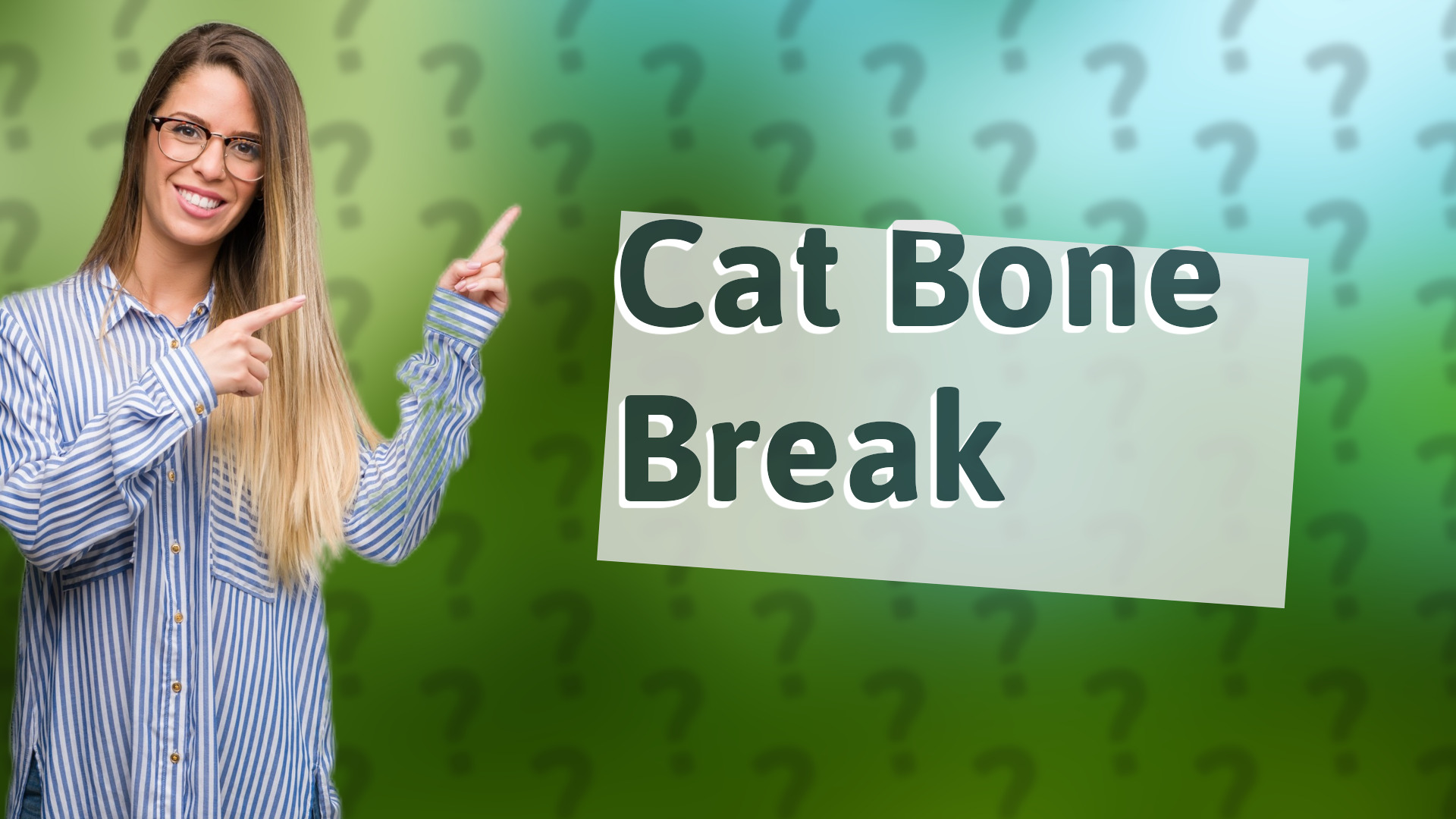 Cat Bone Break