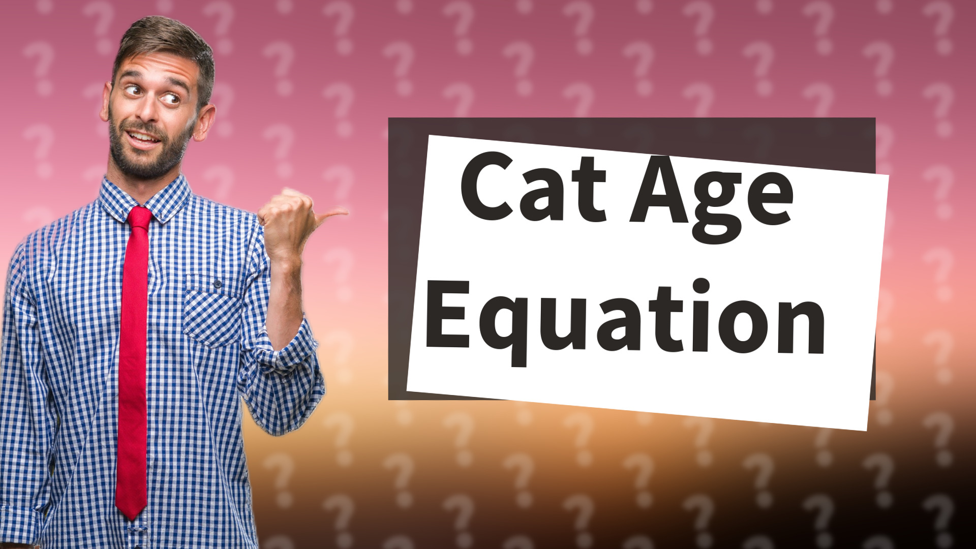 Cat Age Equation