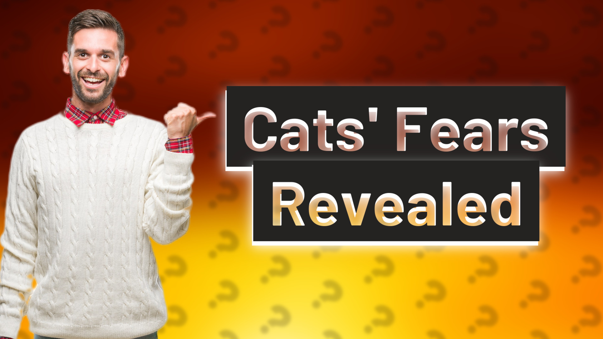 Cats' Fears Revealed