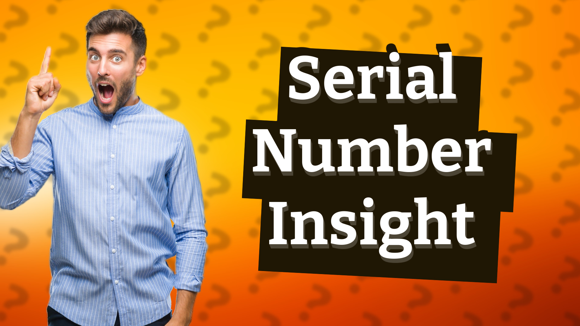 Serial Number Insight