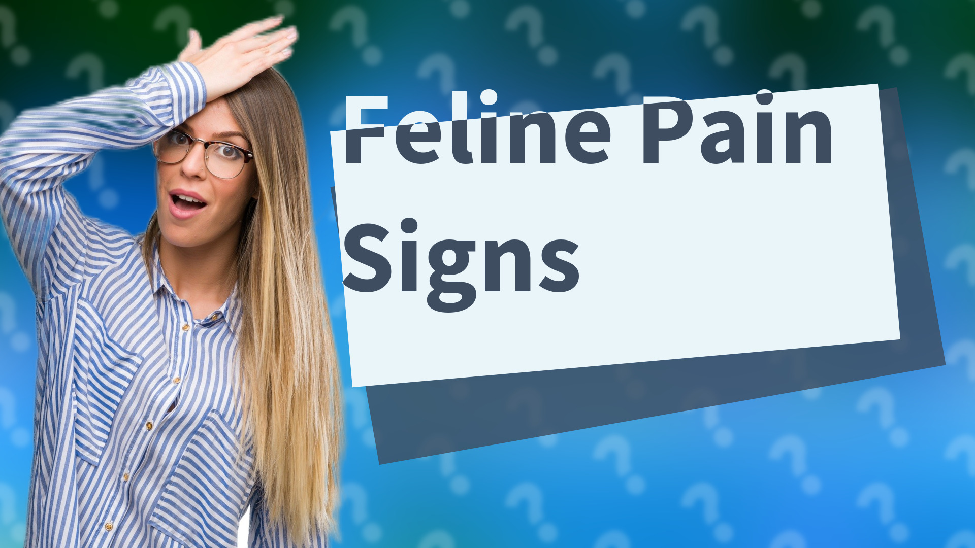 Feline Pain Signs
