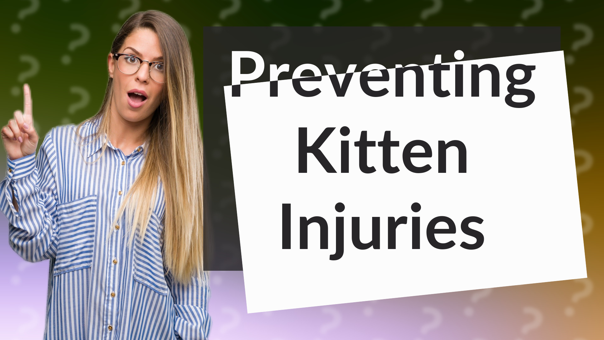 Preventing Kitten Injuries