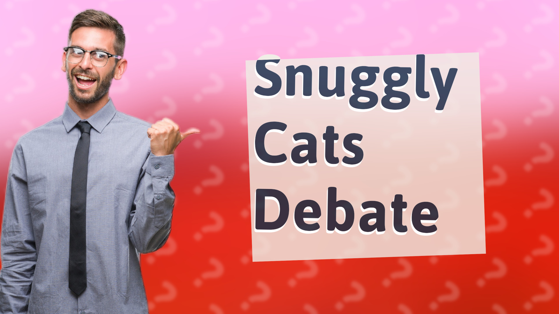 Snuggly Cats Debate