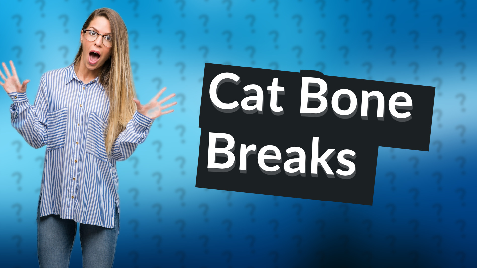Cat Bone Breaks