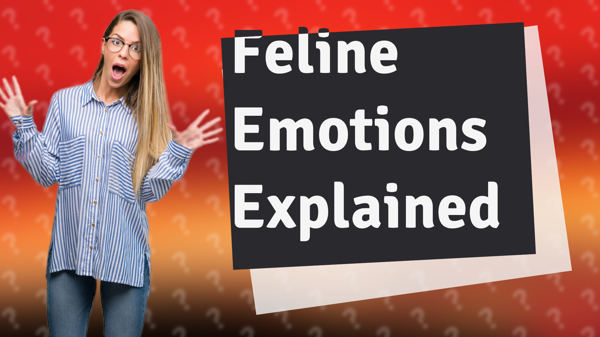 Feline Emotions Explained