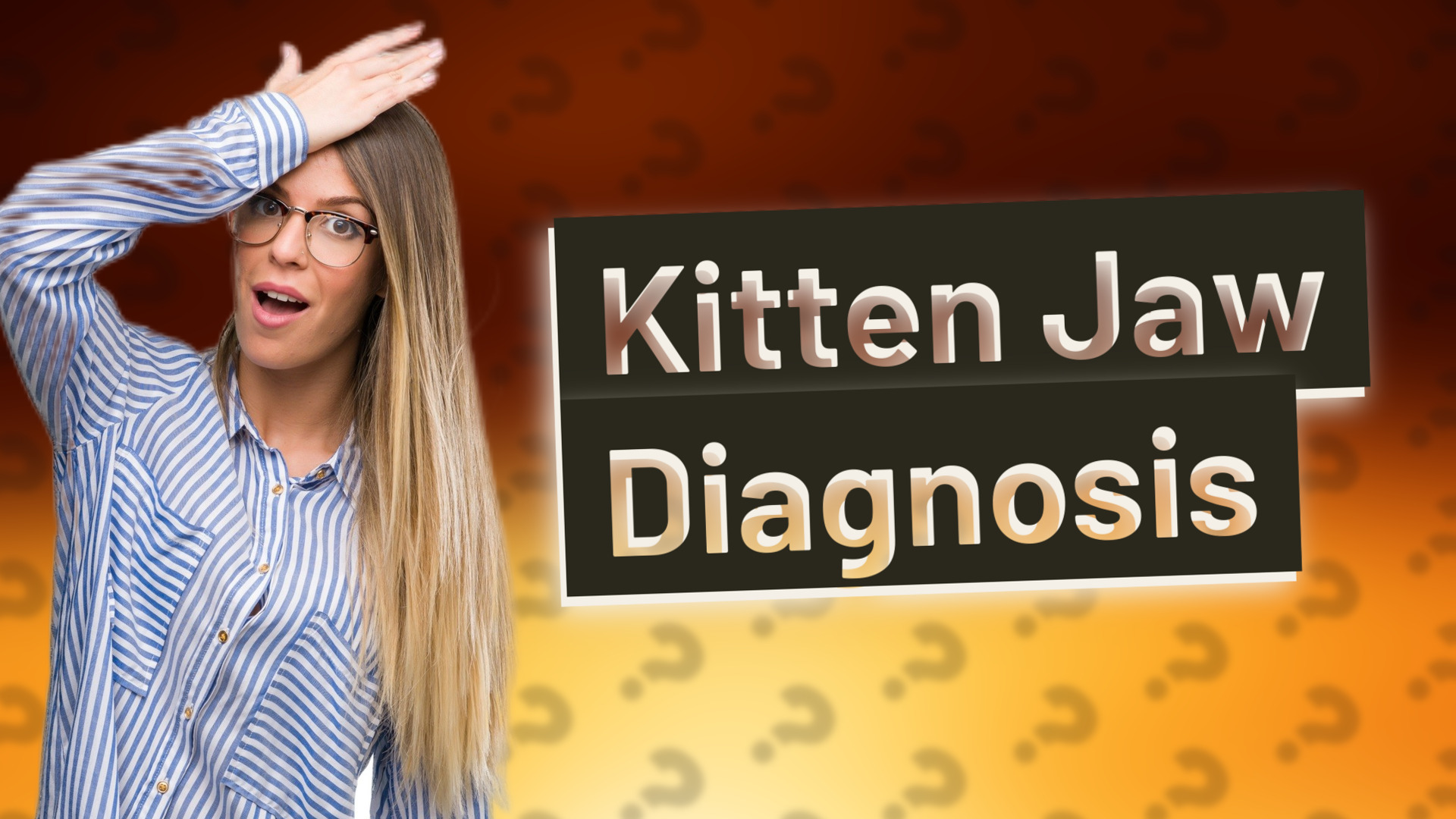 Kitten Jaw Diagnosis