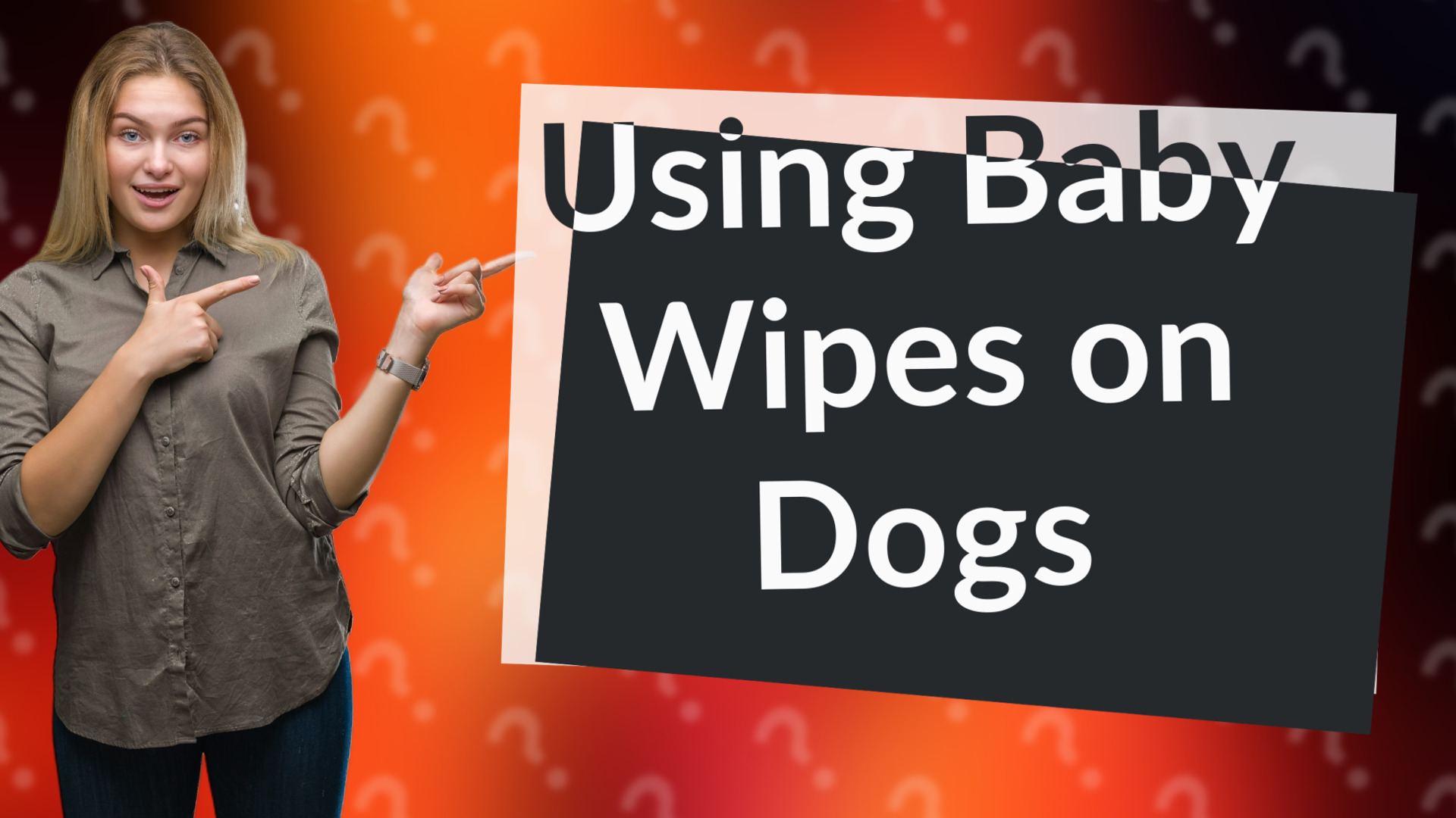 Using Baby Wipes on Dogs