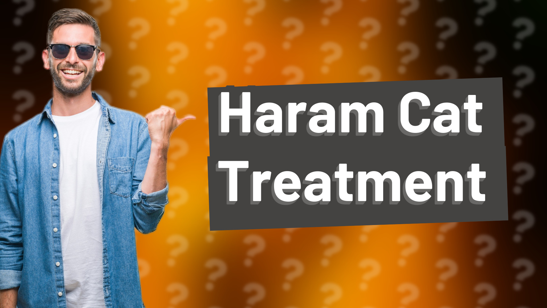 Haram Cat Treatment