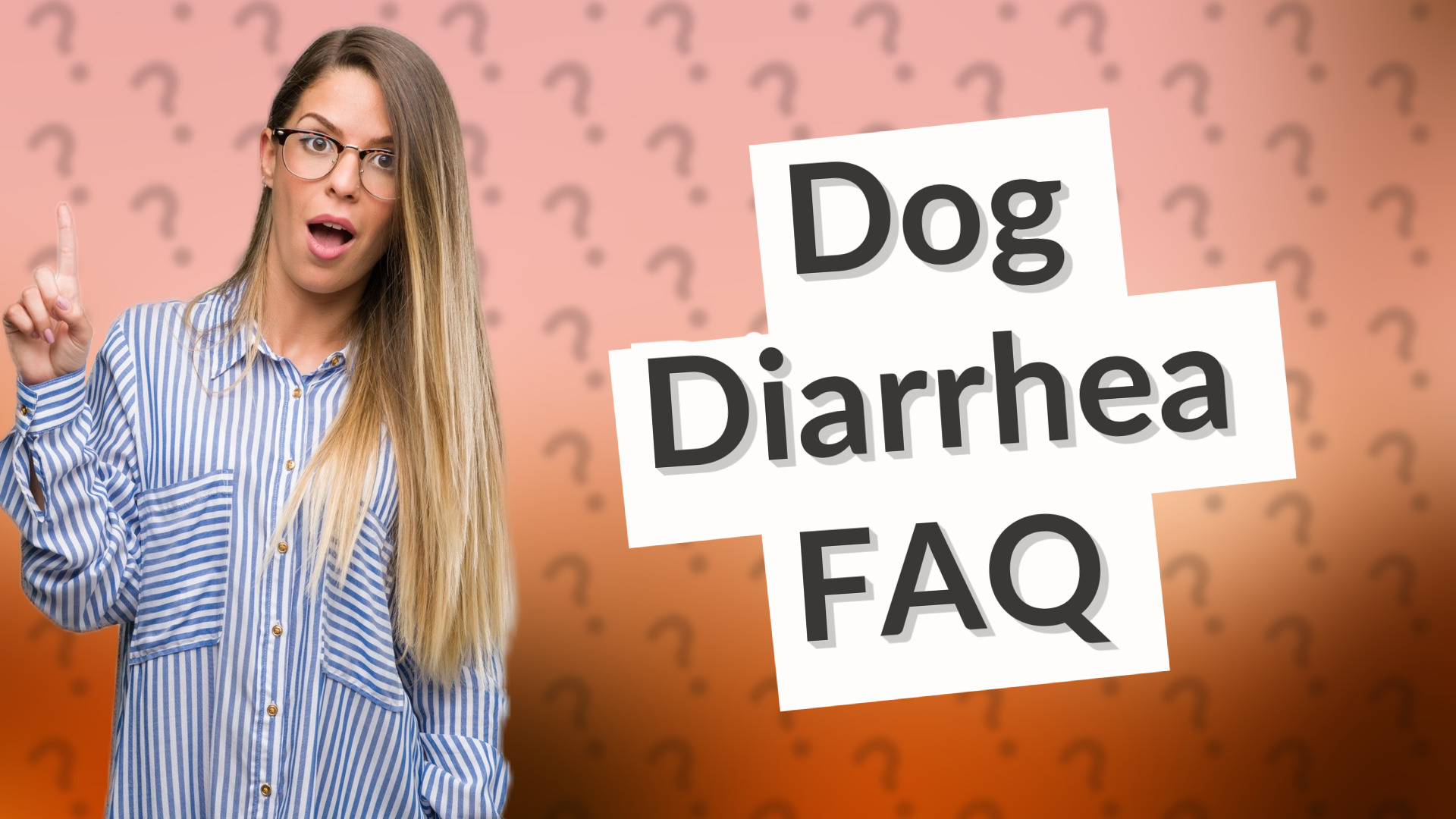 Dog Diarrhea FAQ