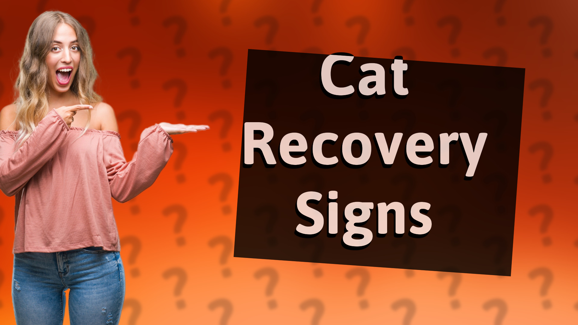 Cat Recovery Signs