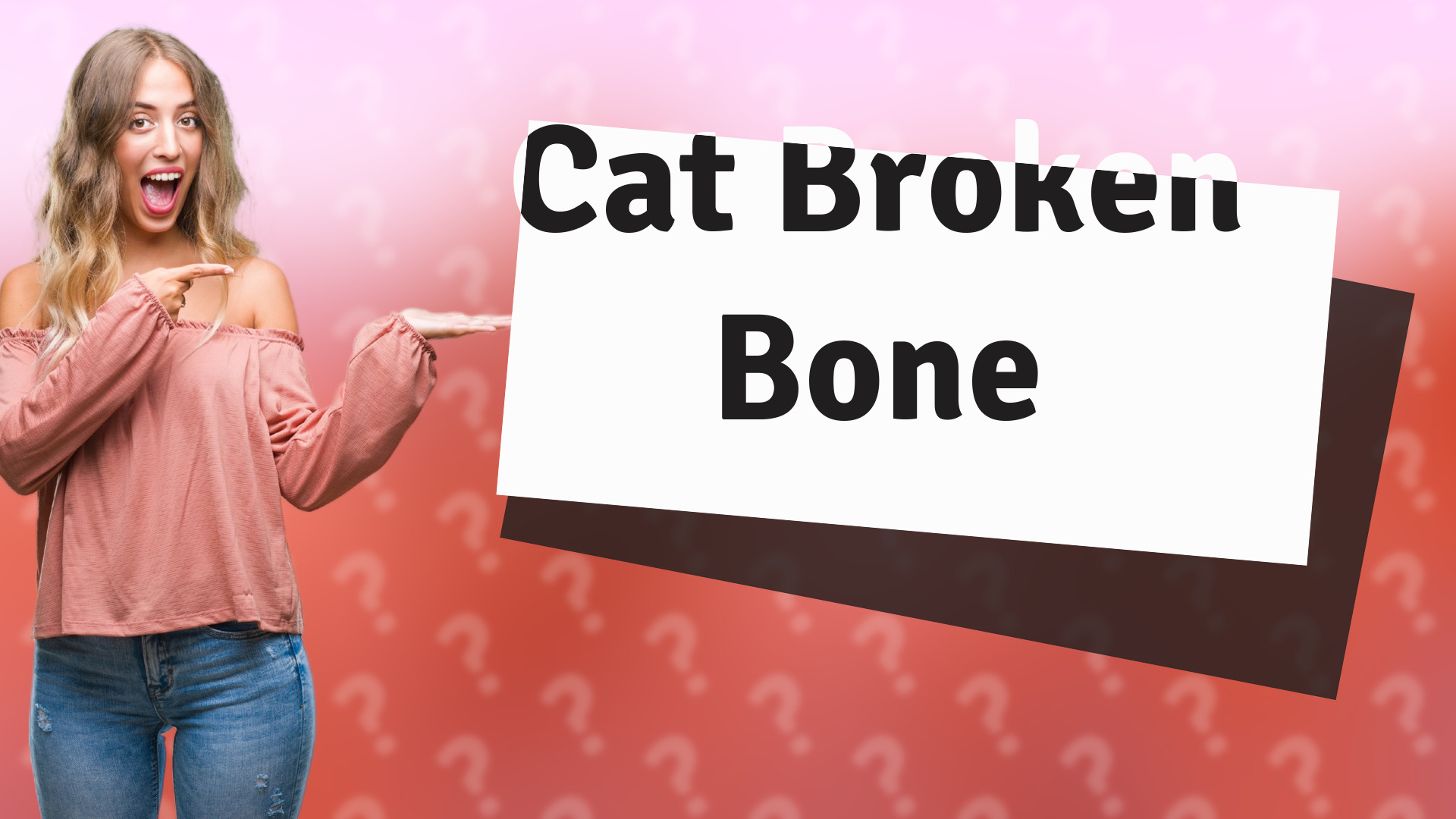 Cat Broken Bone