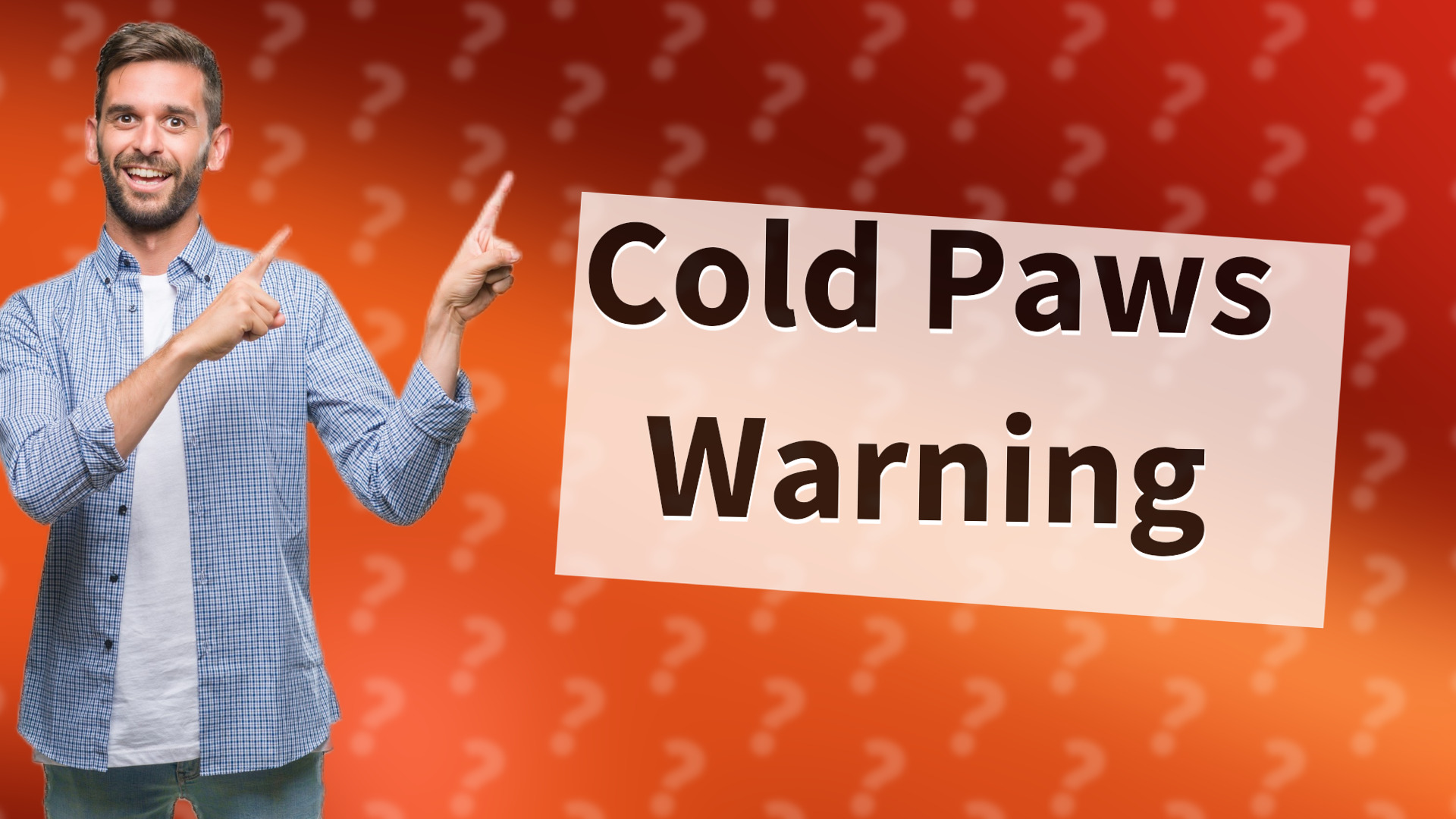 Cold Paws Warning