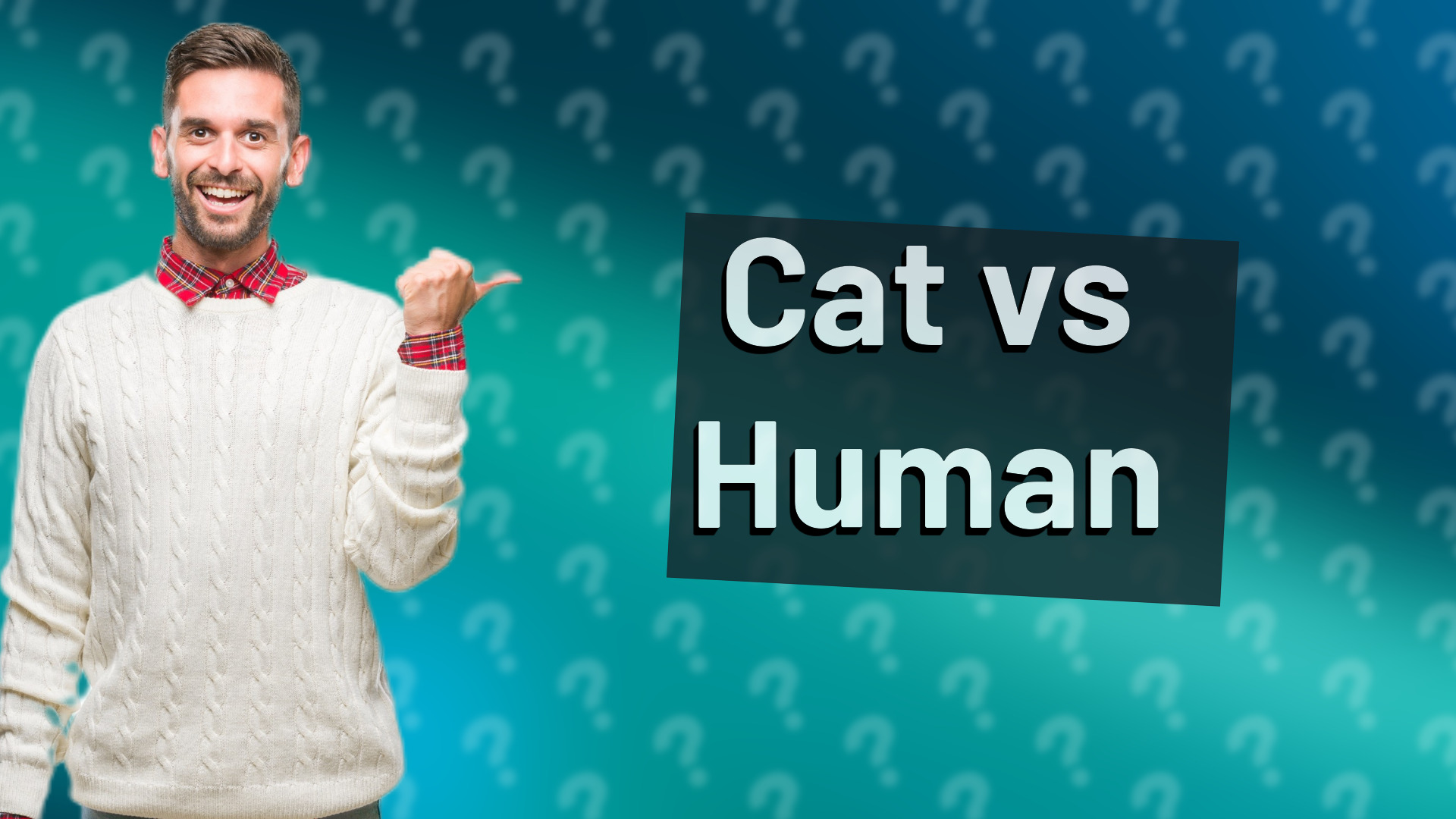 Cat vs Human