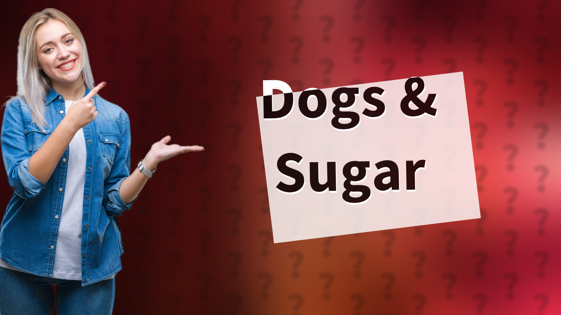 Dogs & Sugar