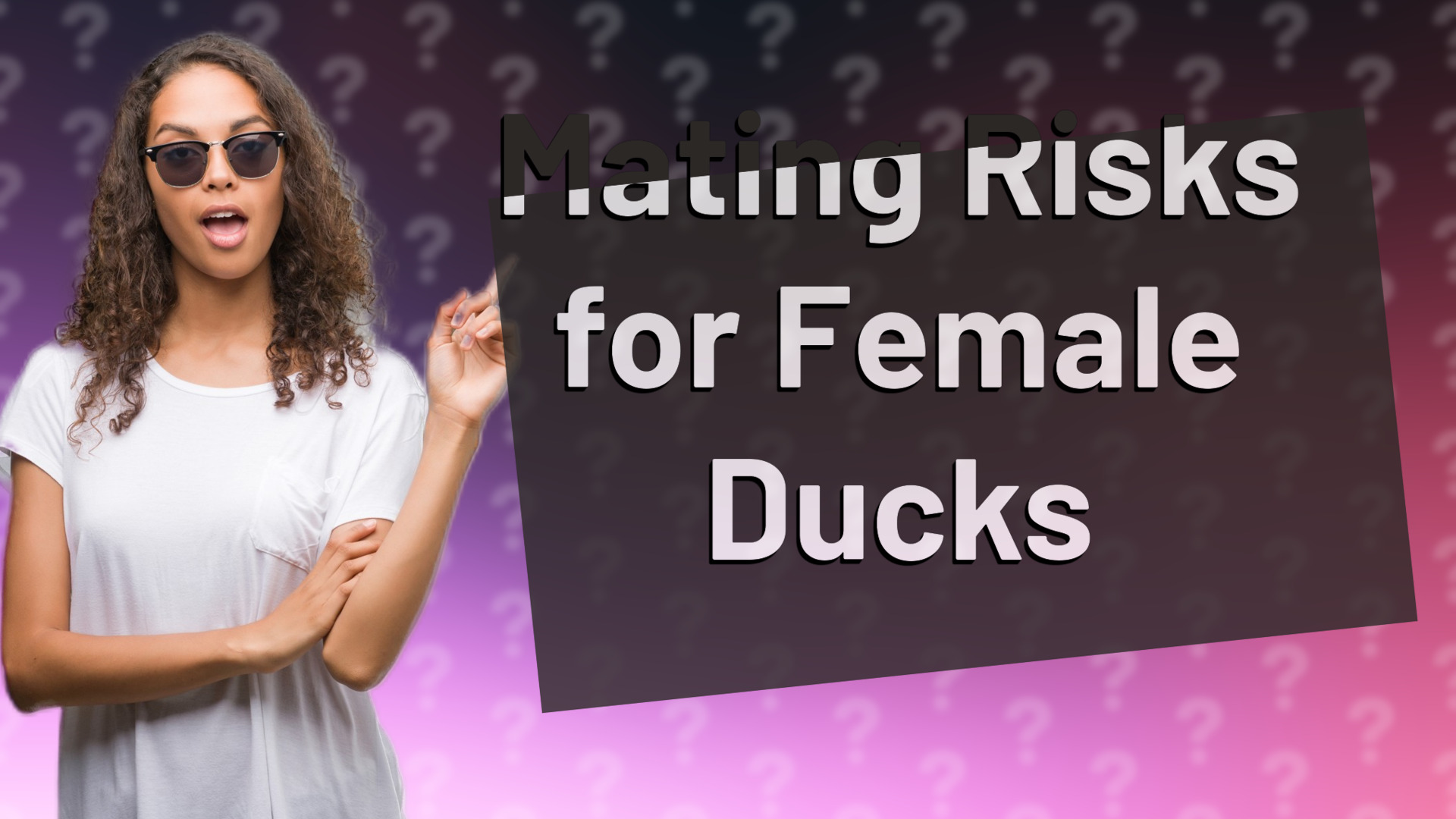 Mating Risks for Female Ducks