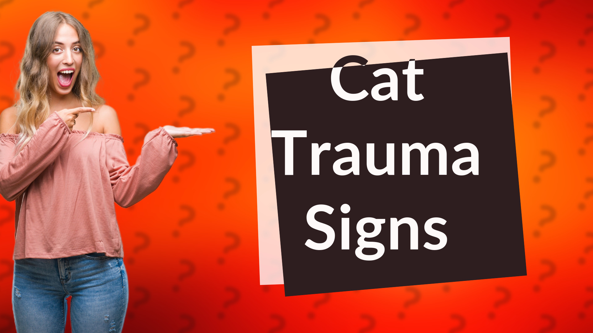 Cat Trauma Signs