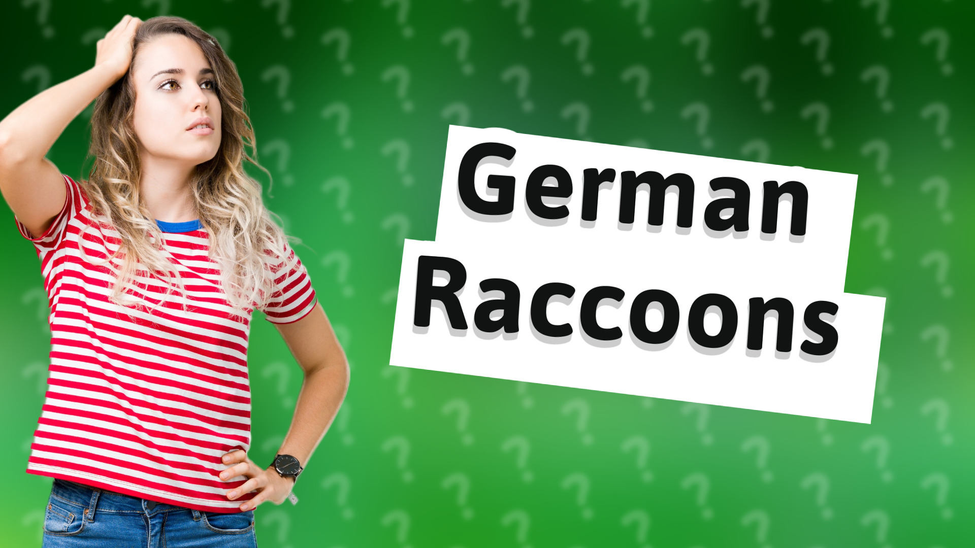 German Raccoons