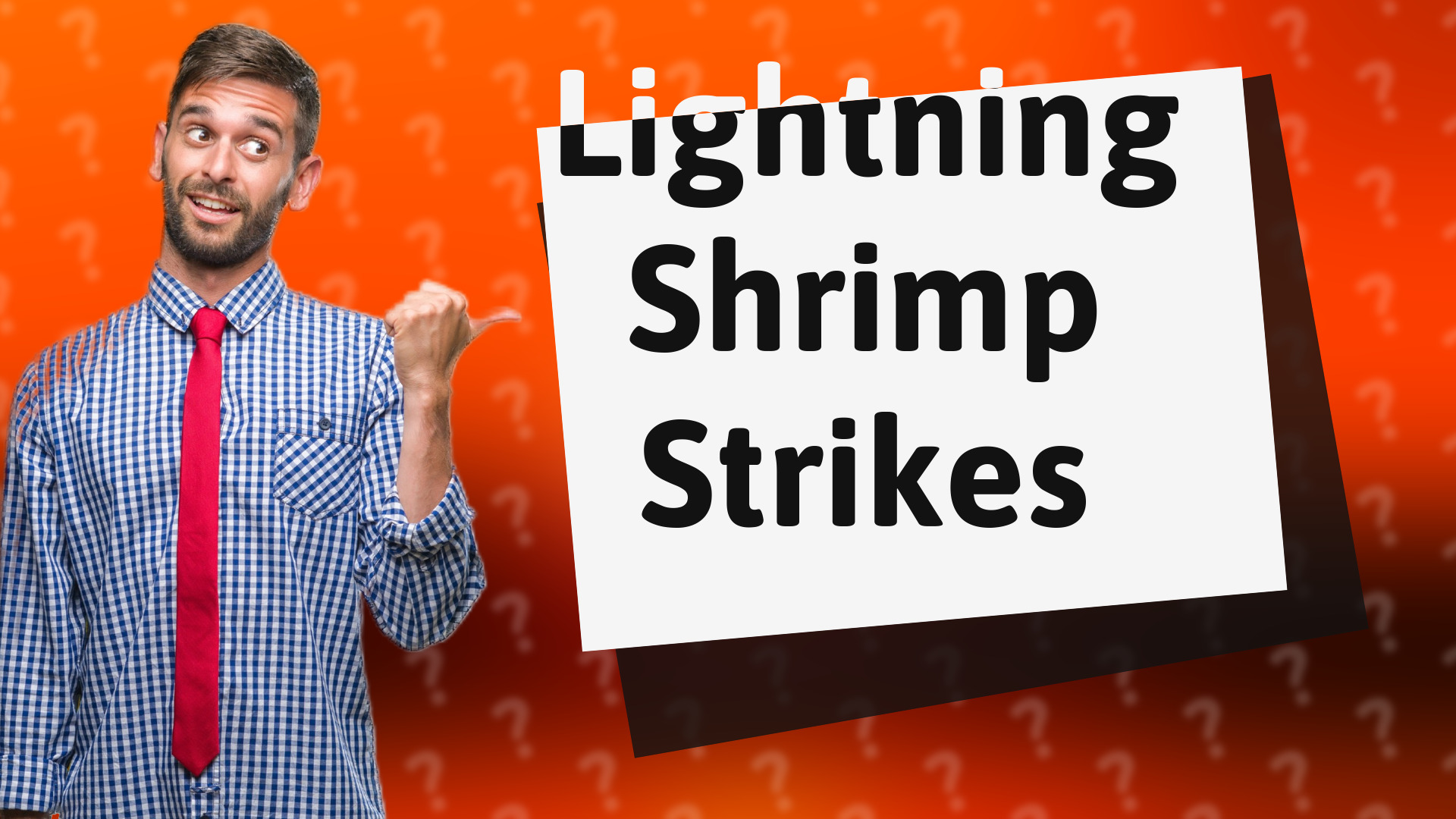 Lightning Shrimp Strikes