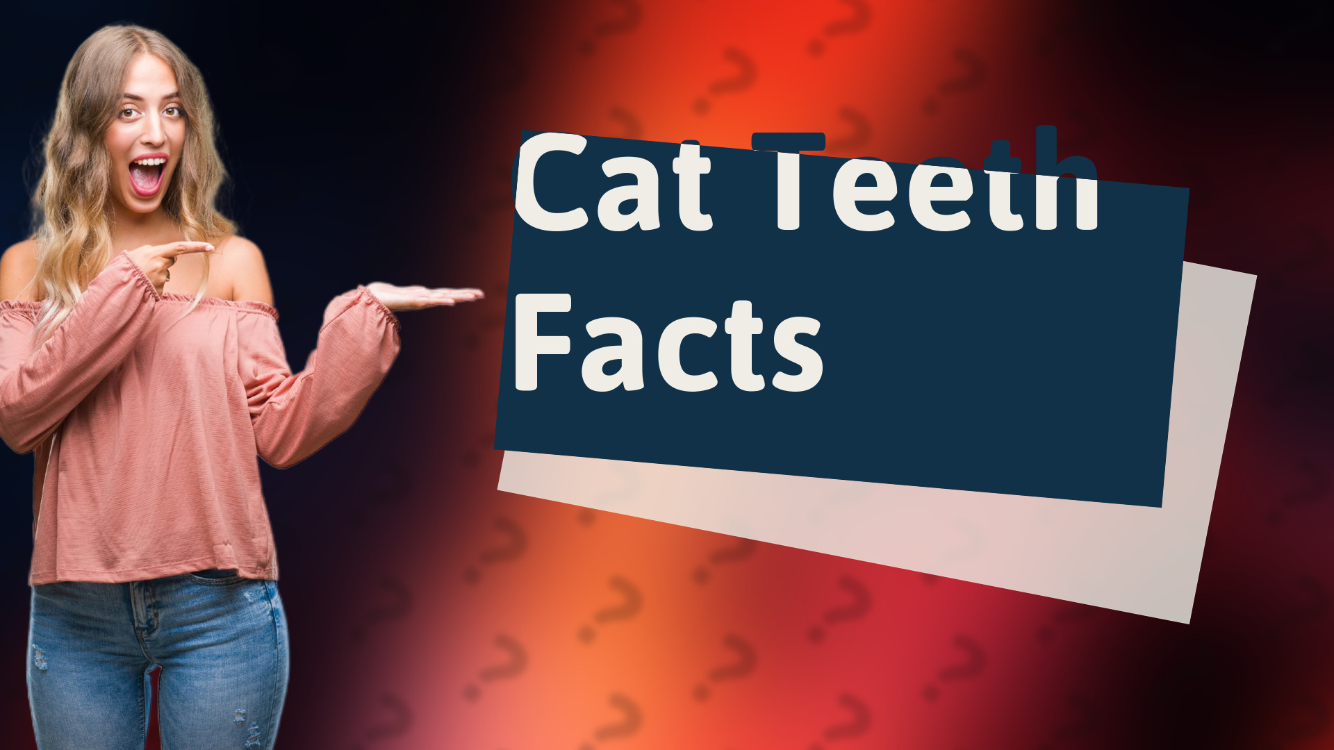 Cat Teeth Facts