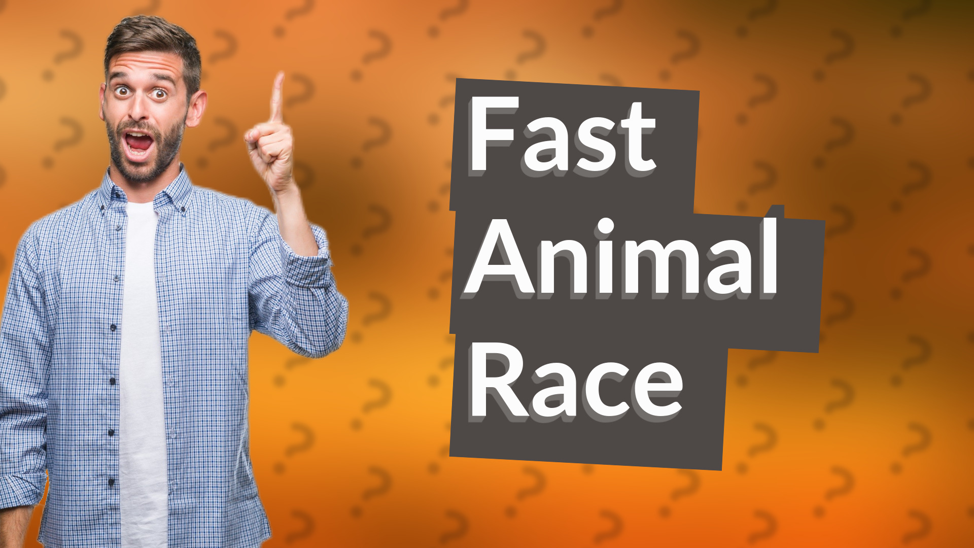 Fast Animal Race