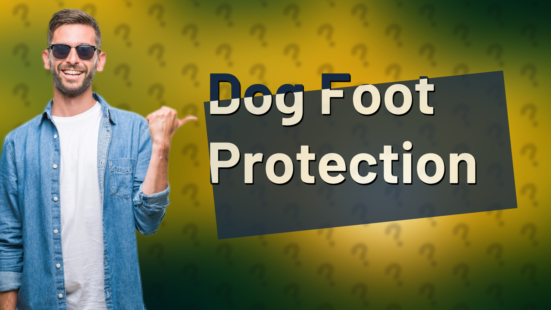 Dog Foot Protection