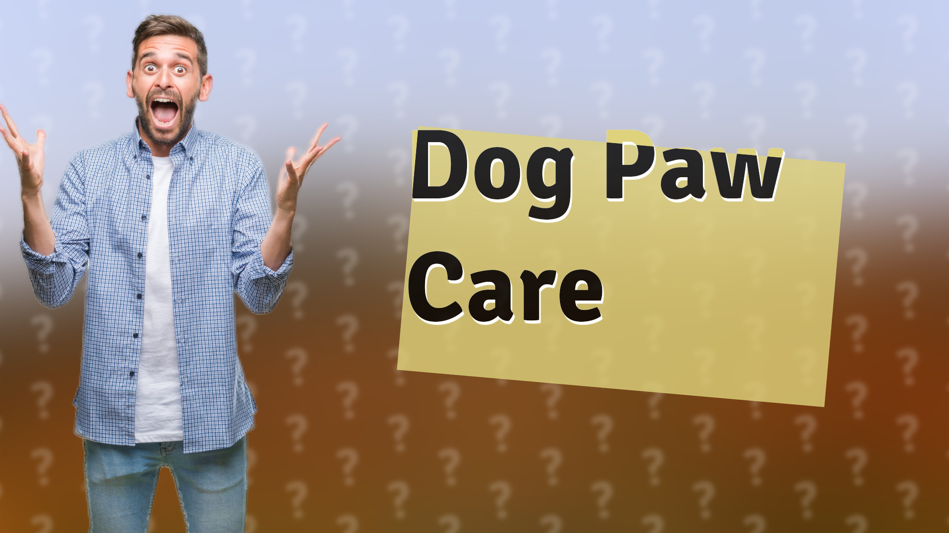 Dog Paw Care