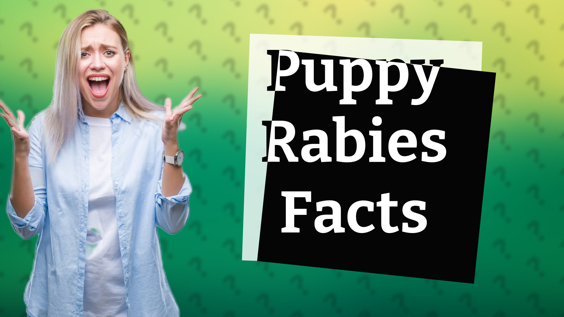 Puppy Rabies Facts