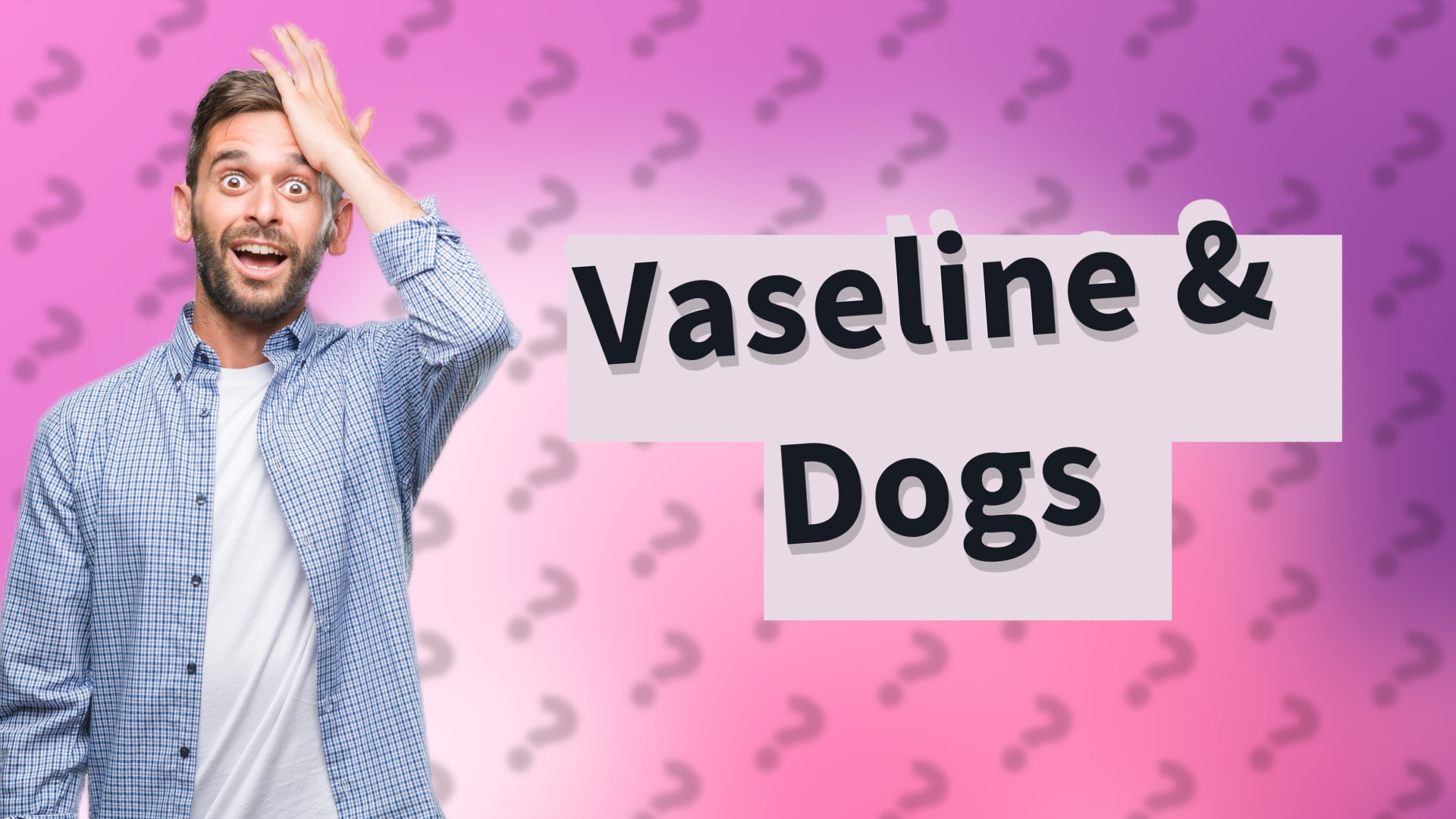 Vaseline & Dogs