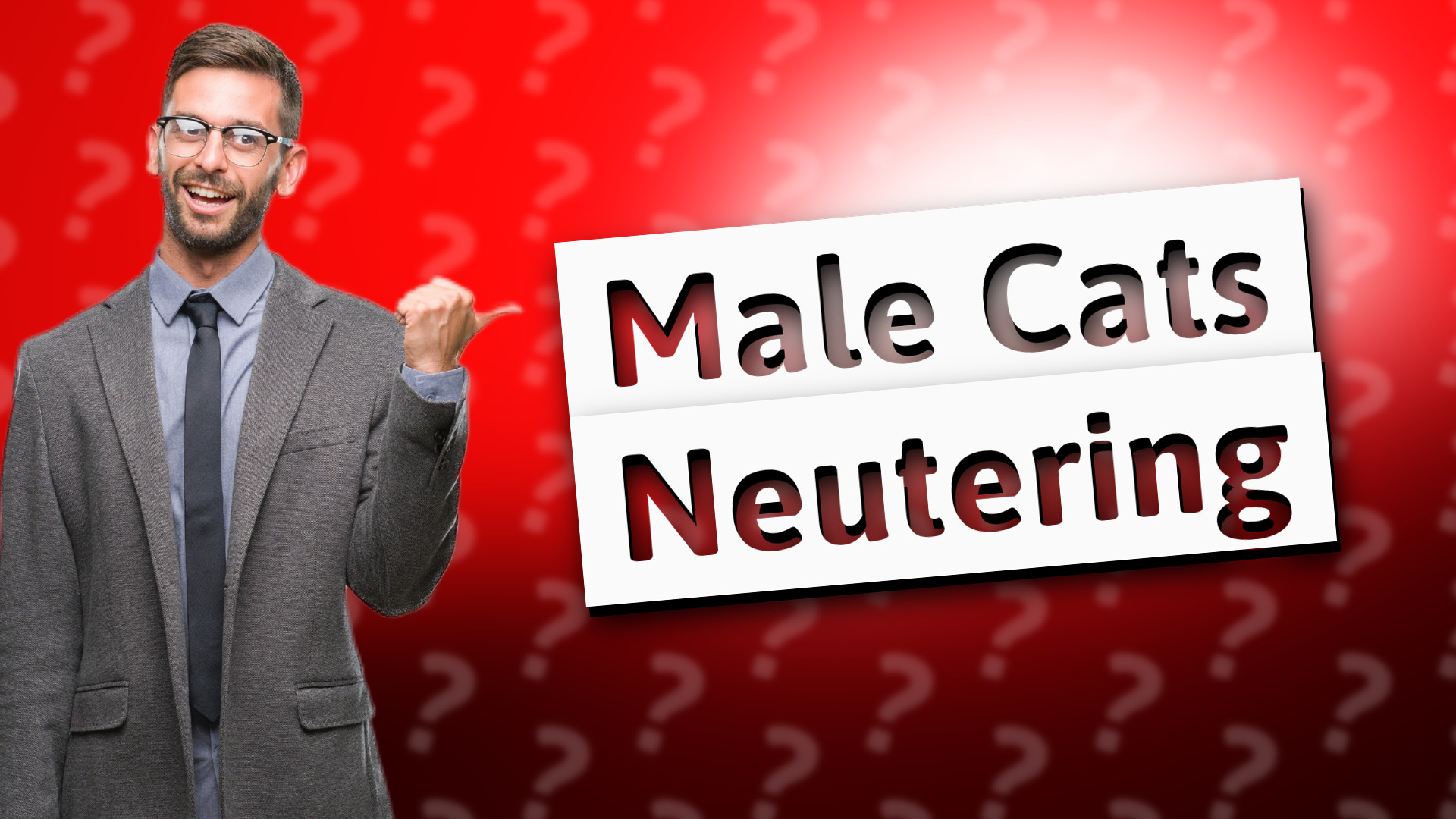 Male Cats Neutering