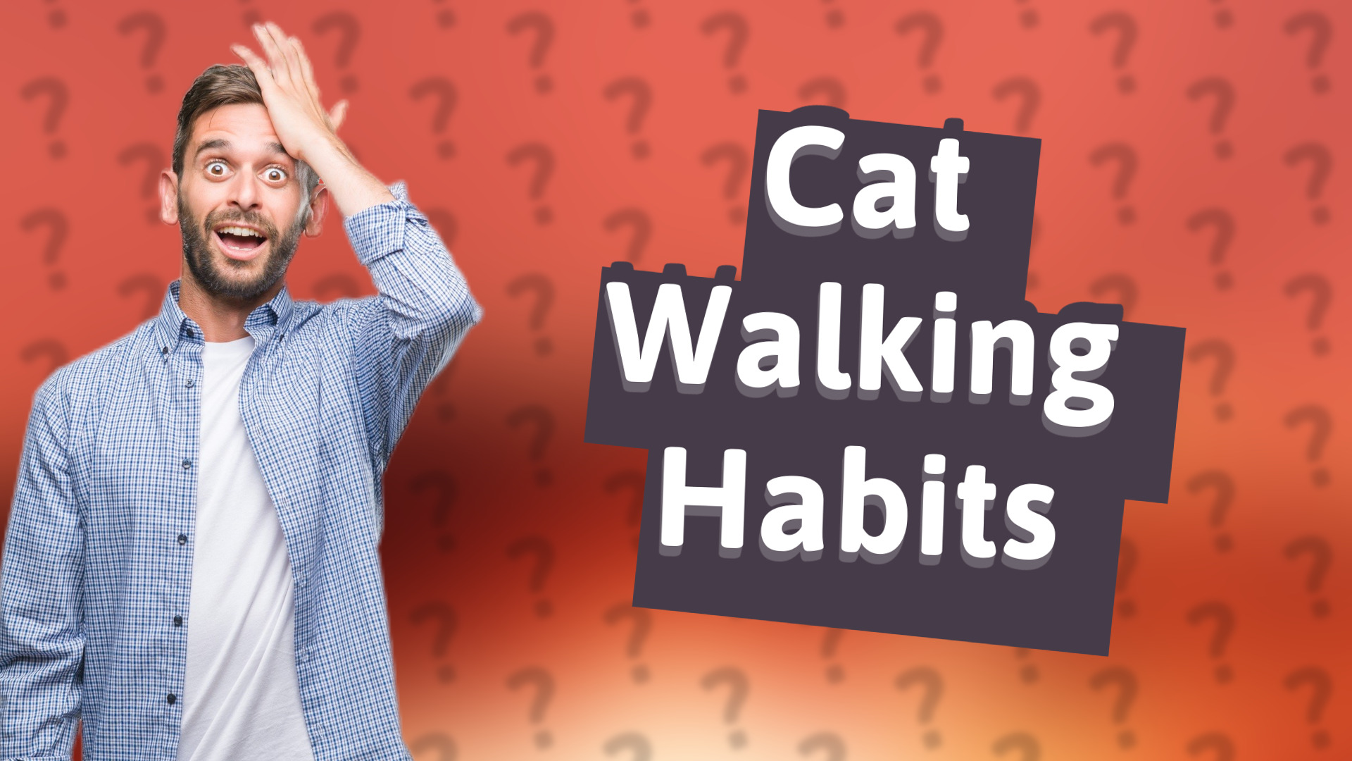 Cat Walking Habits