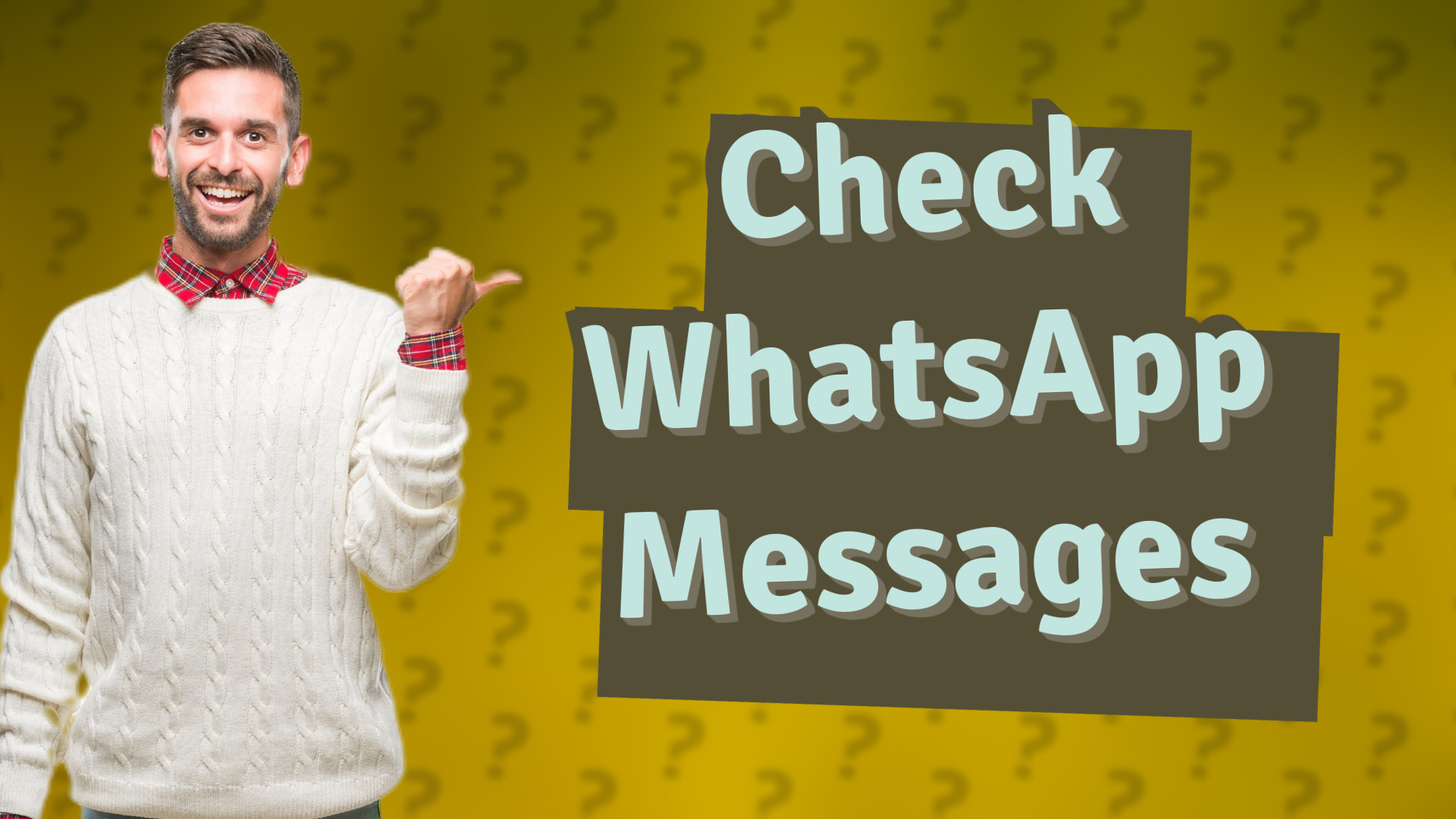 Check WhatsApp Messages