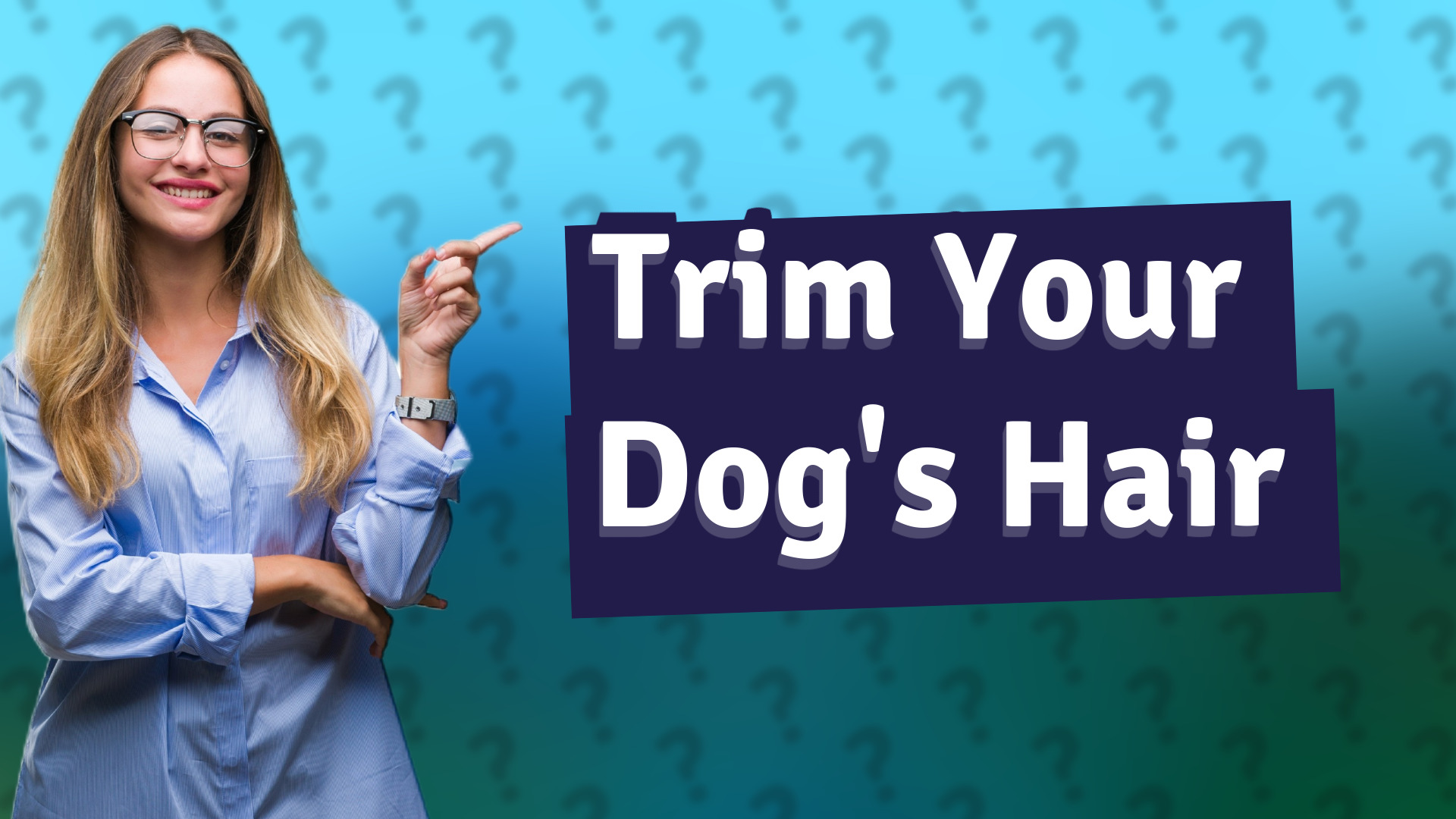 Trim Your Dog's Hair