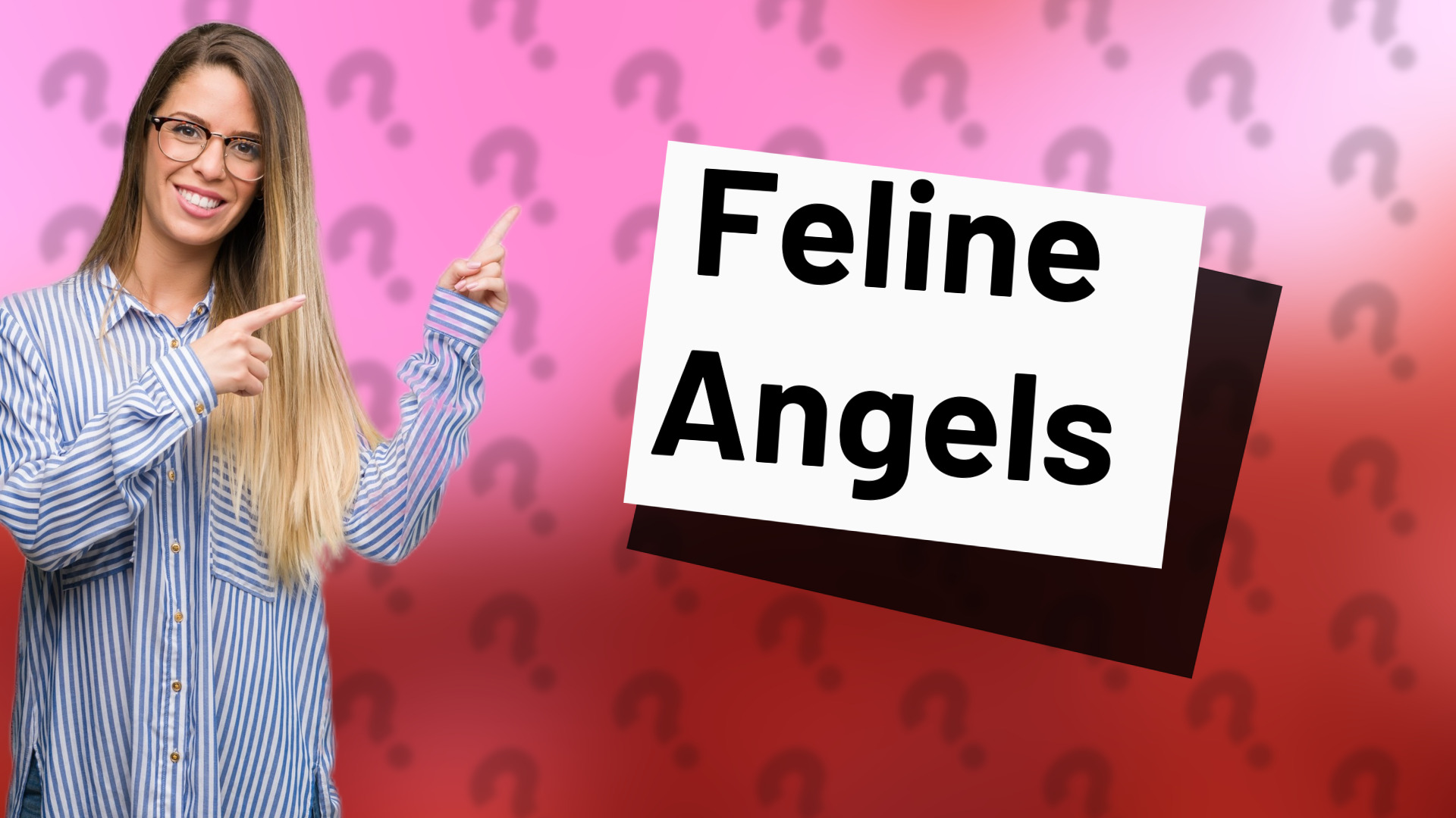 Feline Angels