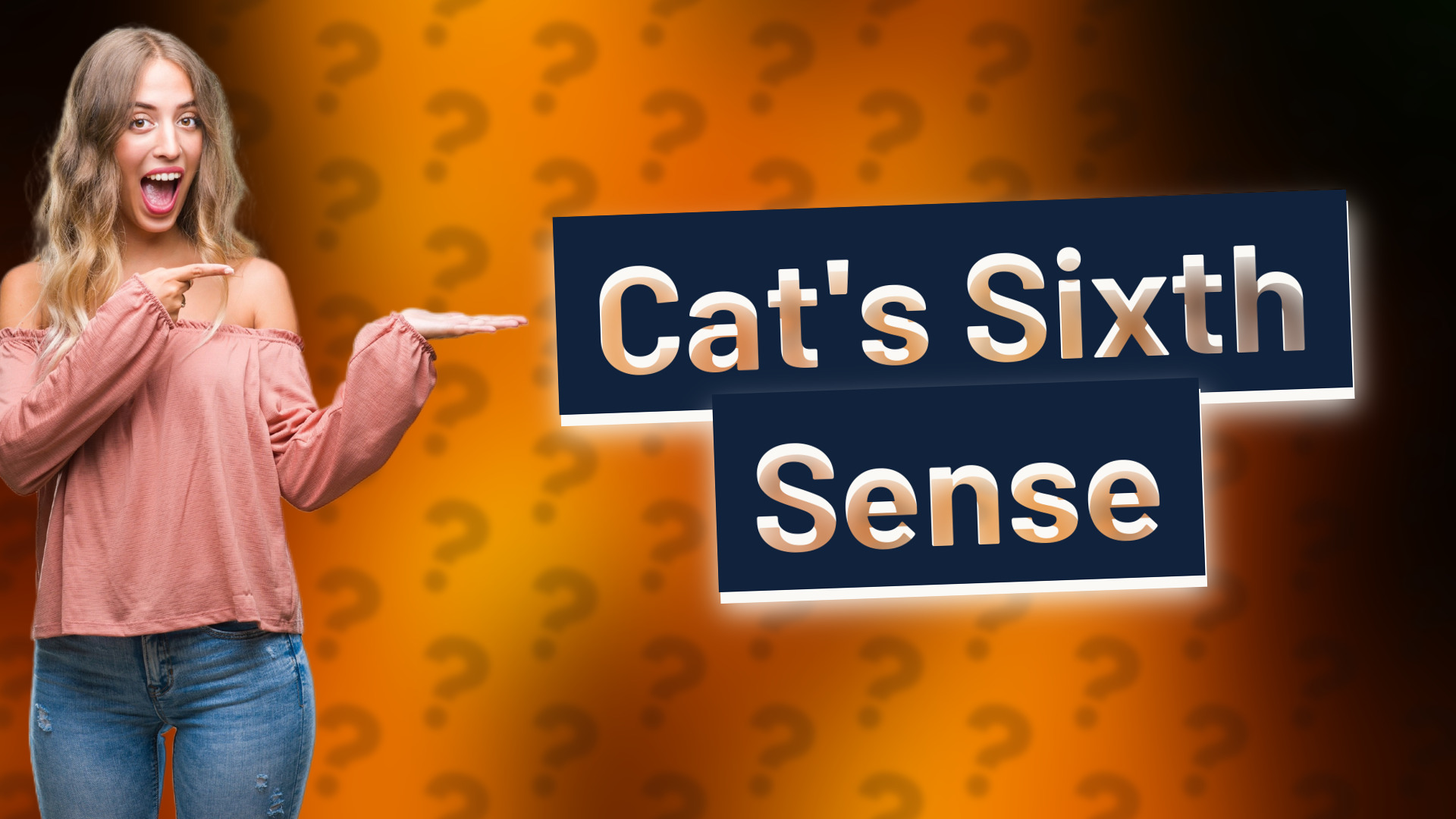 Cat's Sixth Sense