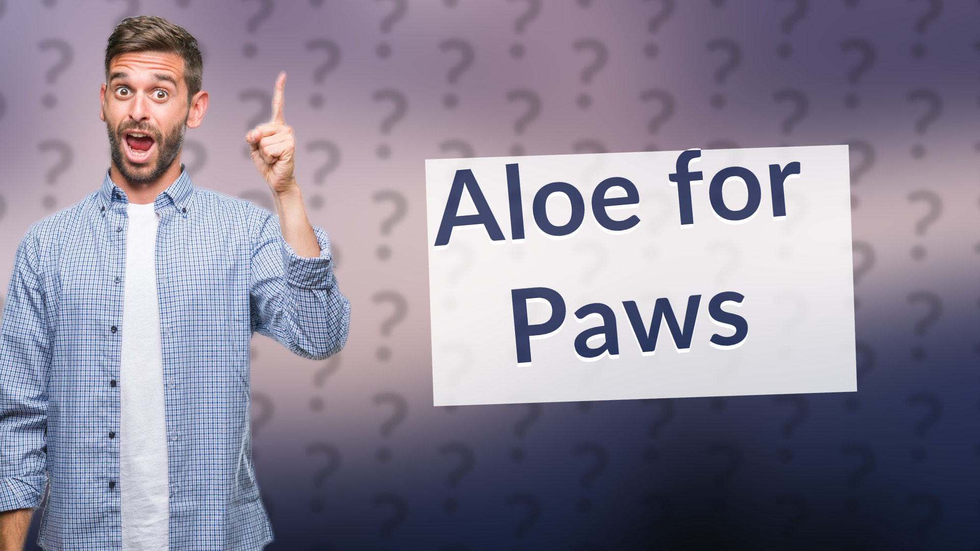 Aloe for Paws