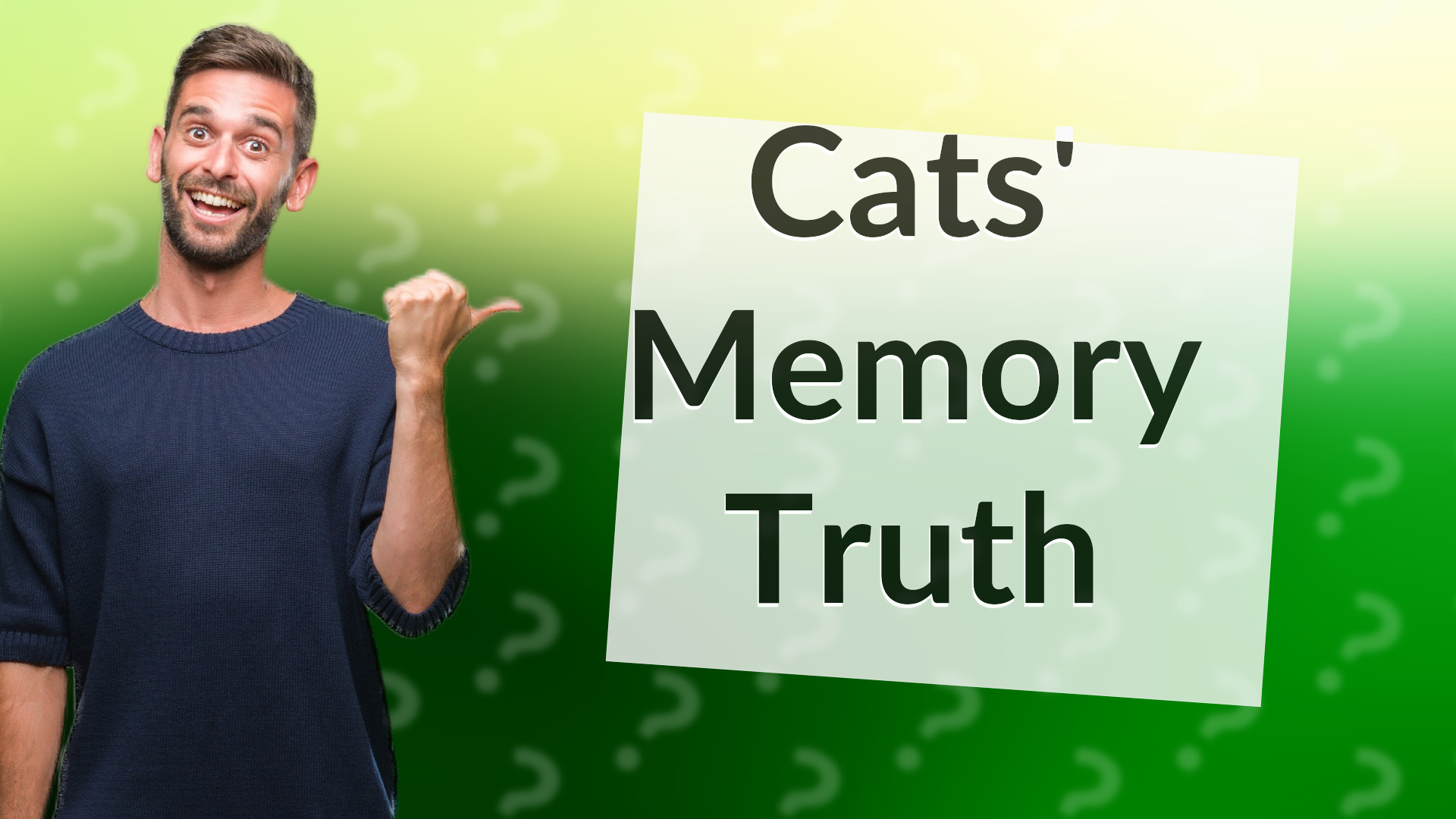 Cats' Memory Truth
