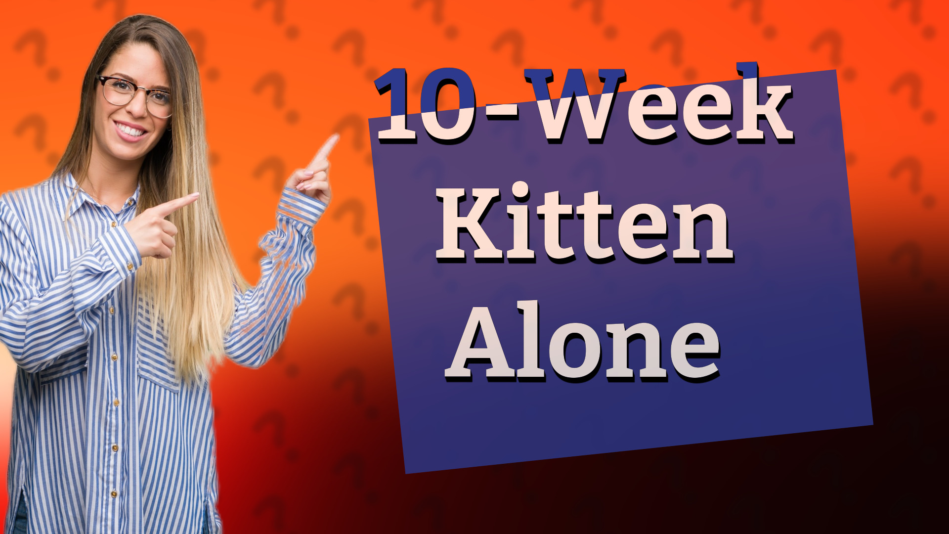 10-Week Kitten Alone