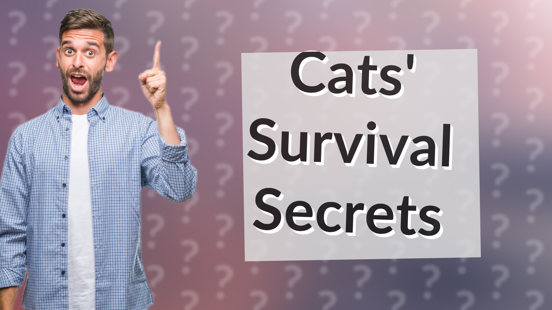 Cats' Survival Secrets