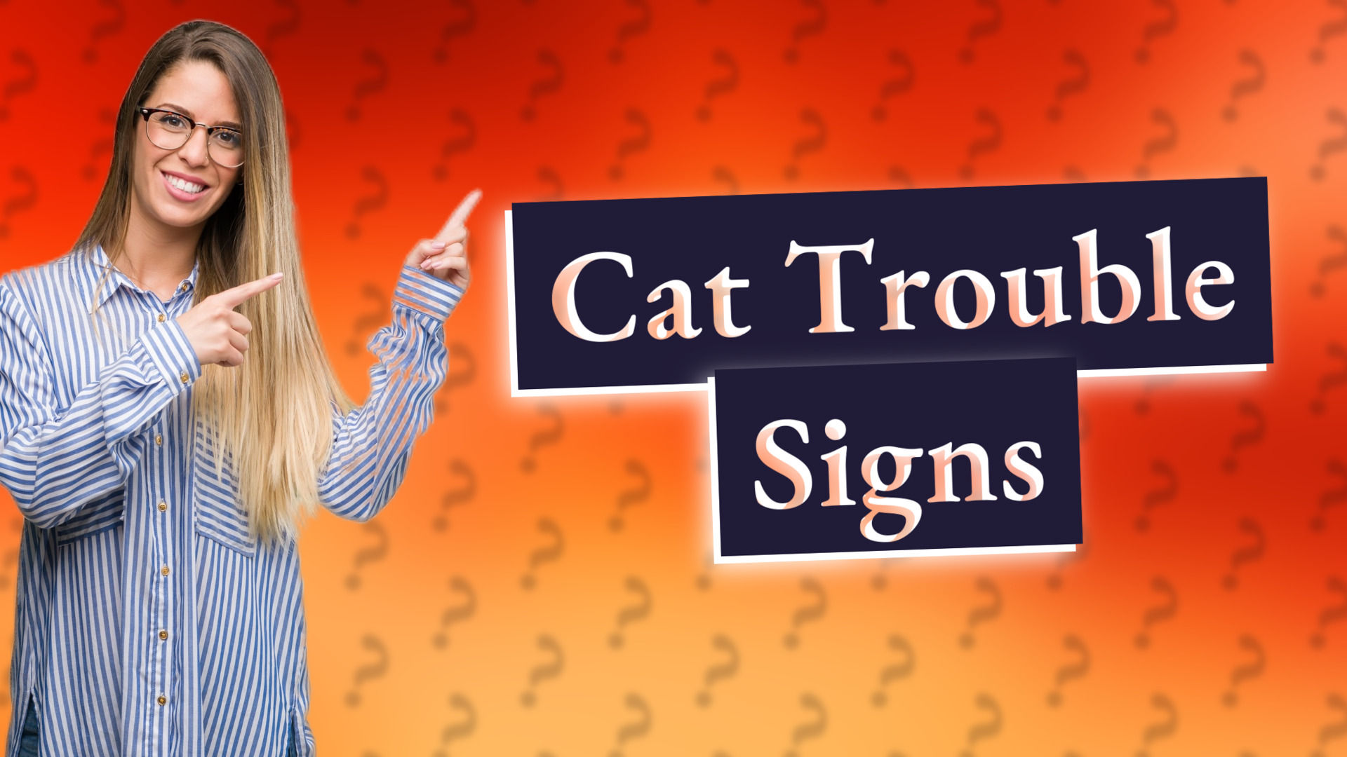 Cat Trouble Signs