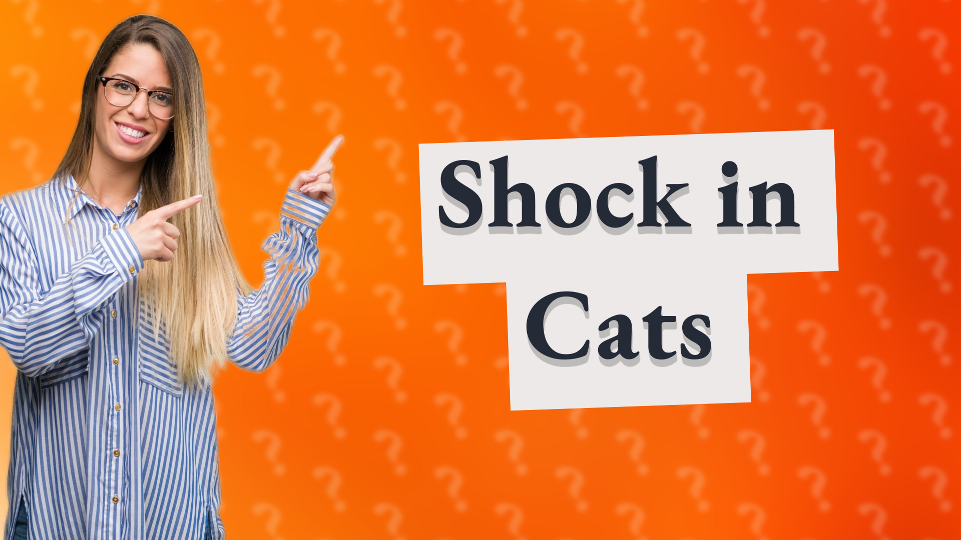 Shock in Cats