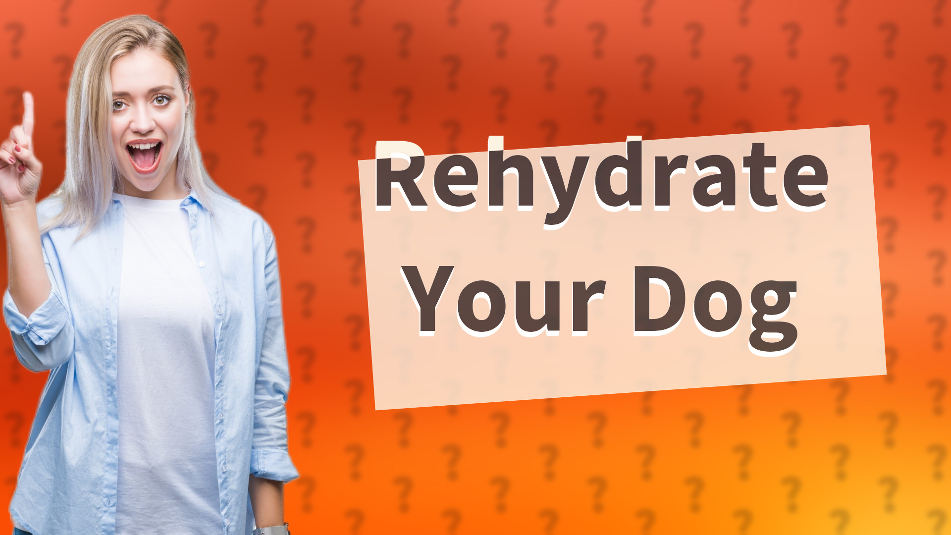 Rehydrate Your Dog