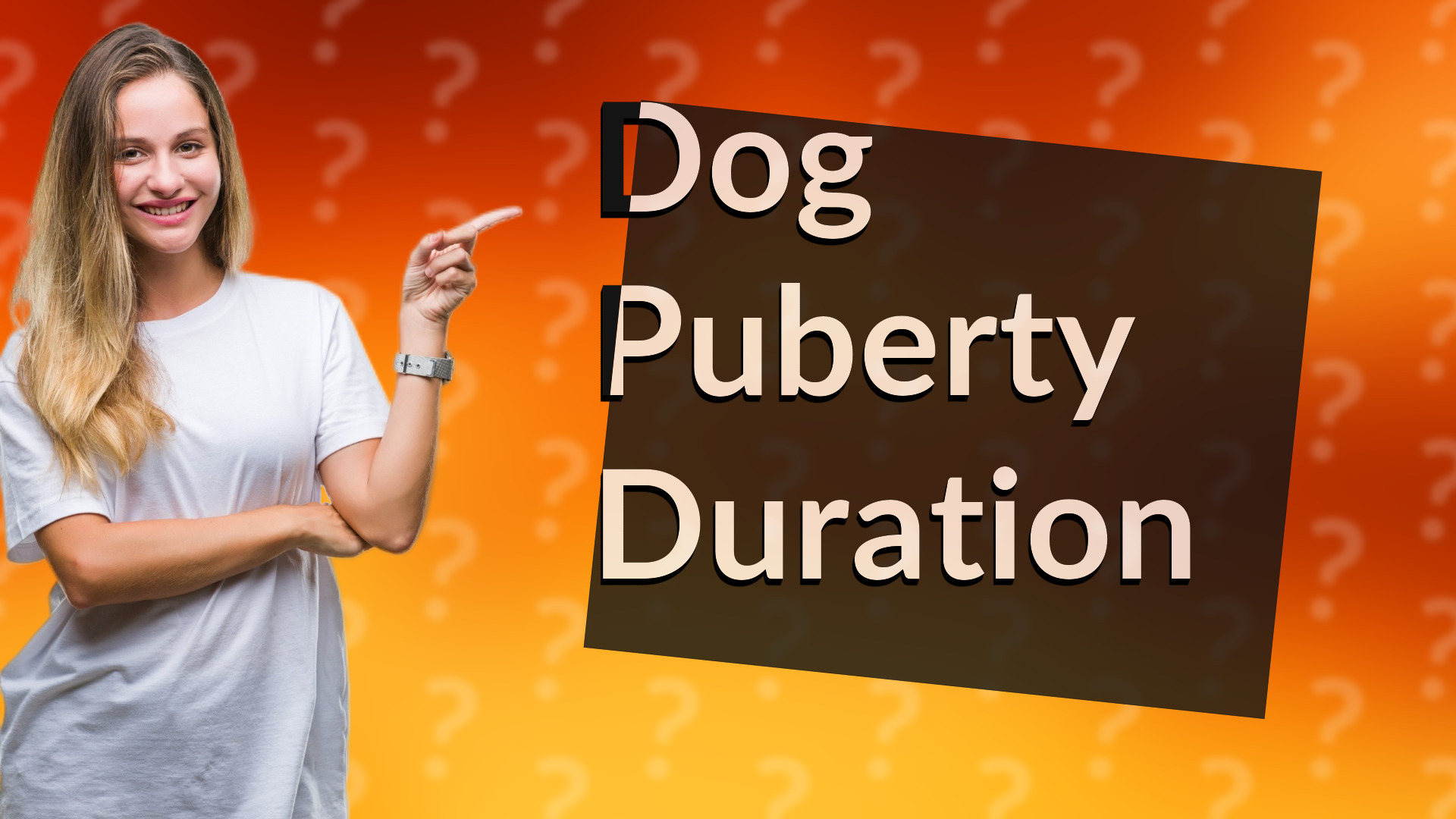 Dog Puberty Duration