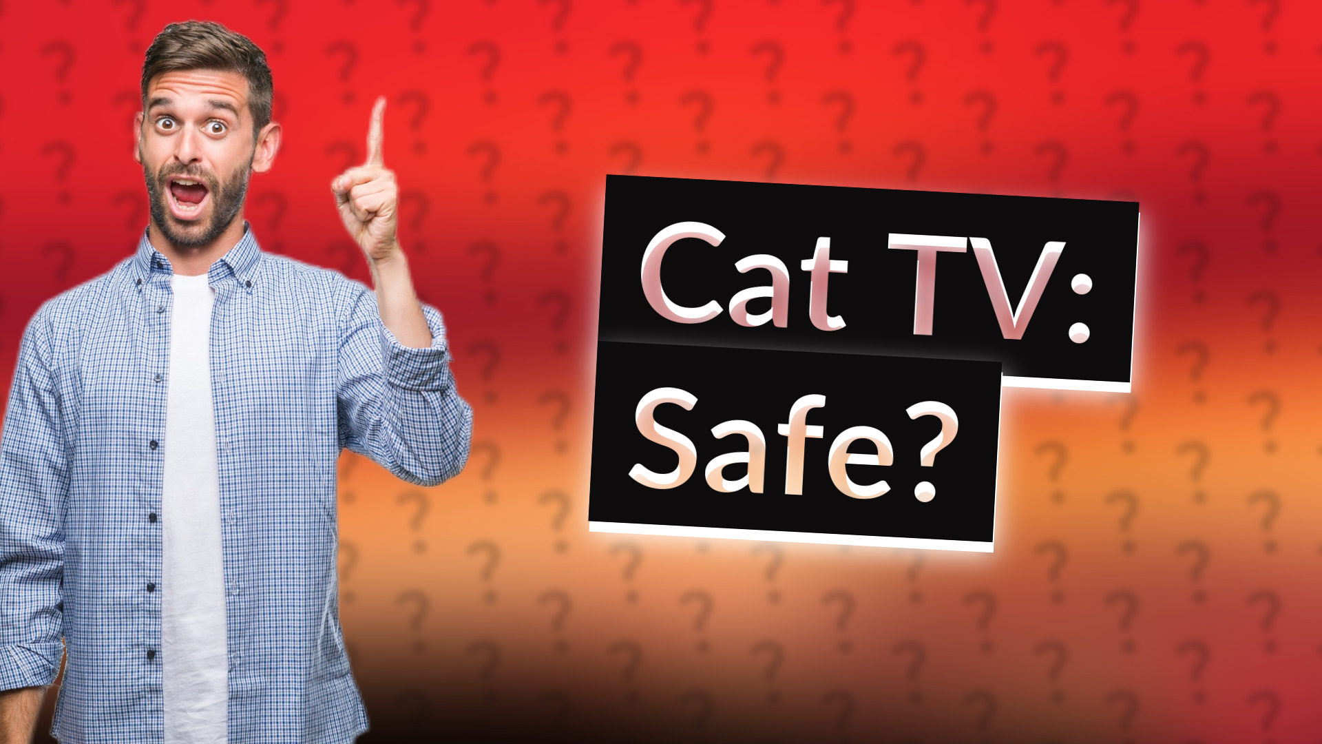 Cat TV: Safe?