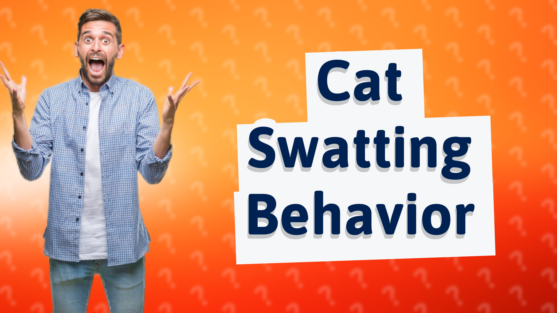 Cat Swatting Behavior