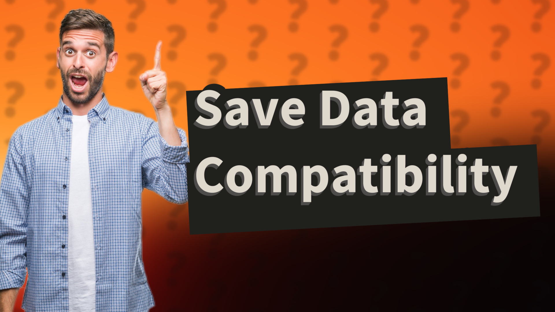 Save Data Compatibility