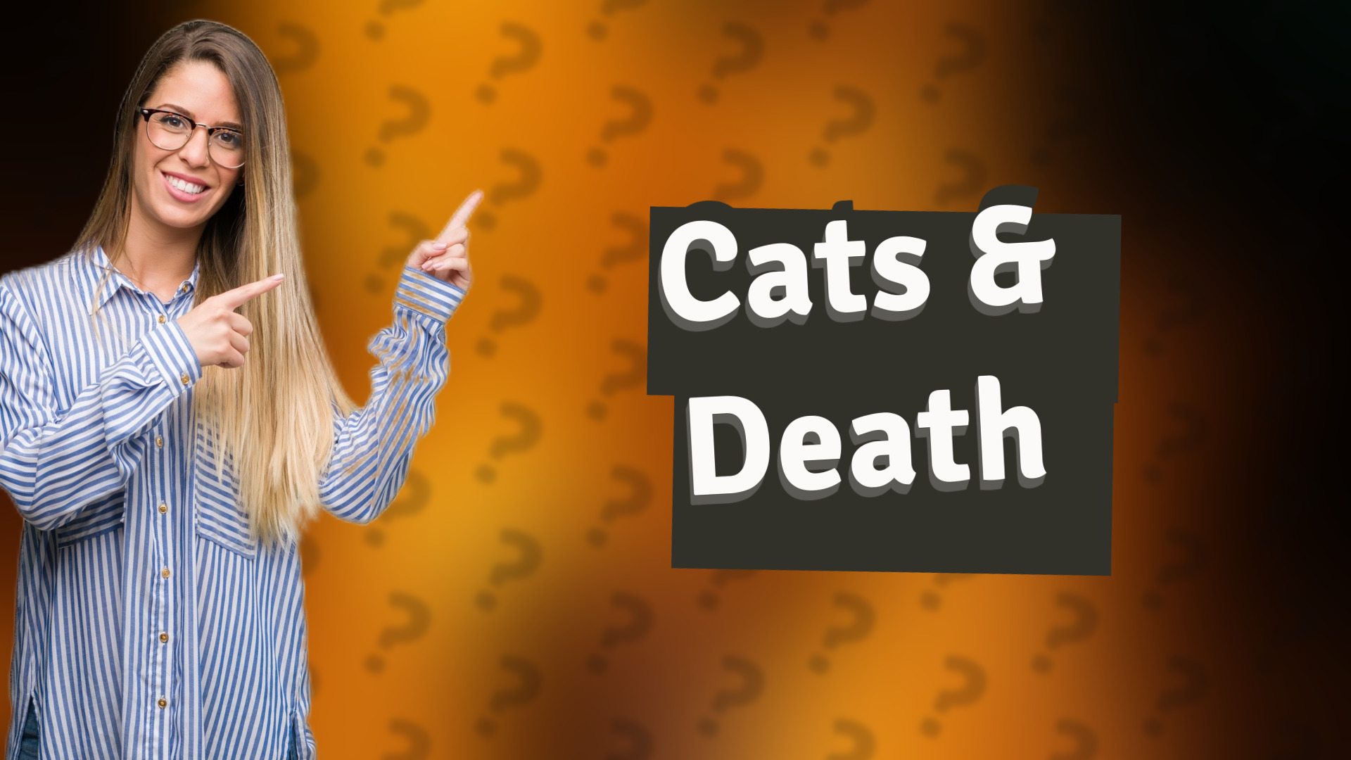 Cats & Death