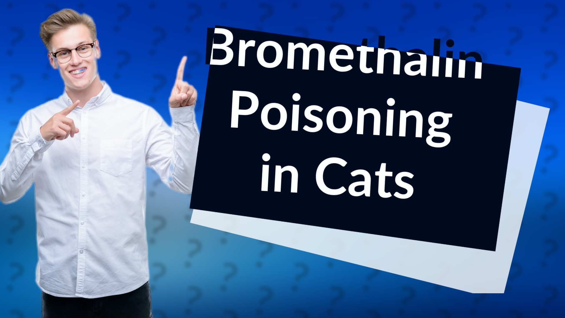 Bromethalin Poisoning in Cats