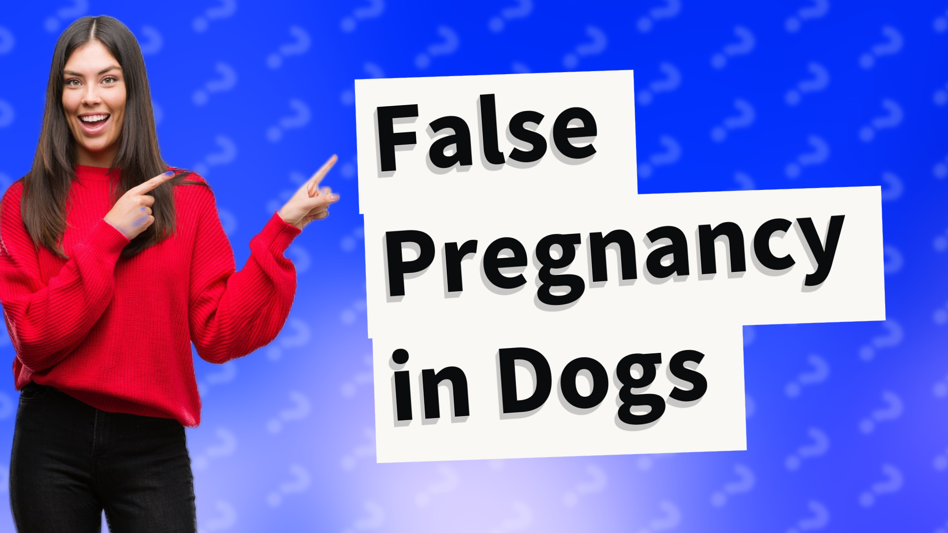 False Pregnancy in Dogs